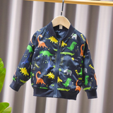 Dinosaur jacket