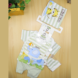 New Born 5 Pcs Set Mini Zoo
